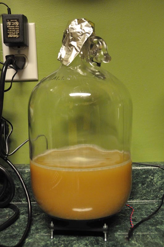 My Belgian Strong Ale (Wyeast 1388) yeast starter Homebrew Talk