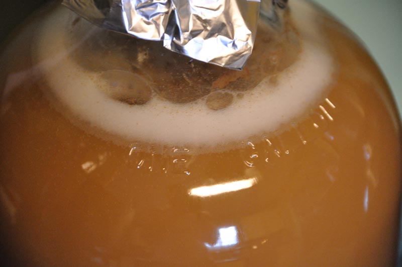 My Belgian Strong Ale (Wyeast 1388) yeast starter Homebrew Talk
